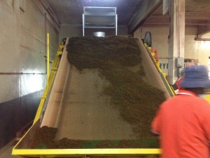 Cameron Highlands-066